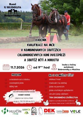 8. ročník kvalifikace na MČR