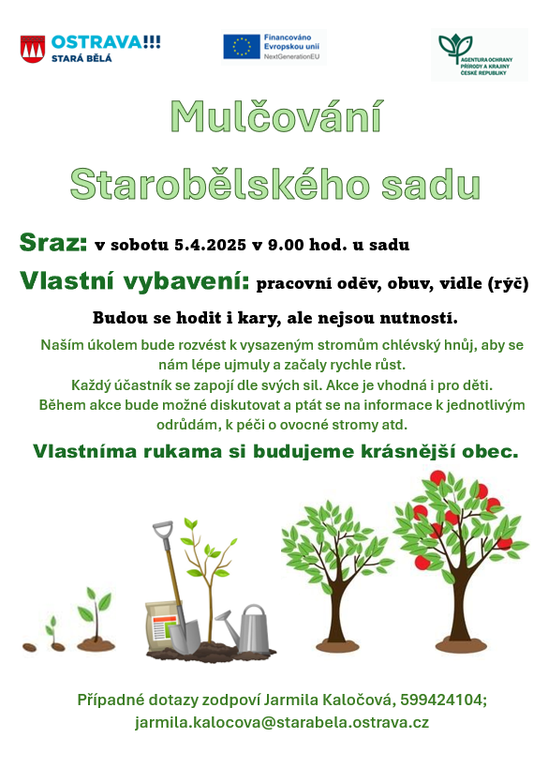 Pozvánka