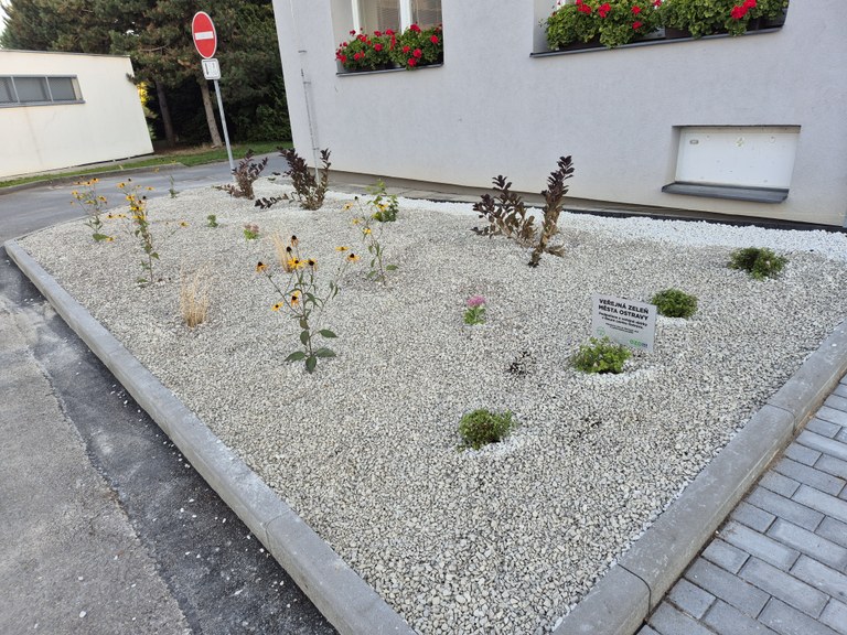 Revitalizace záhonů před Zdravotním střediskem