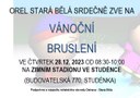 Brusleni