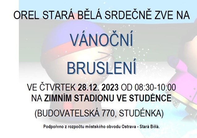 Vánoční bruslení