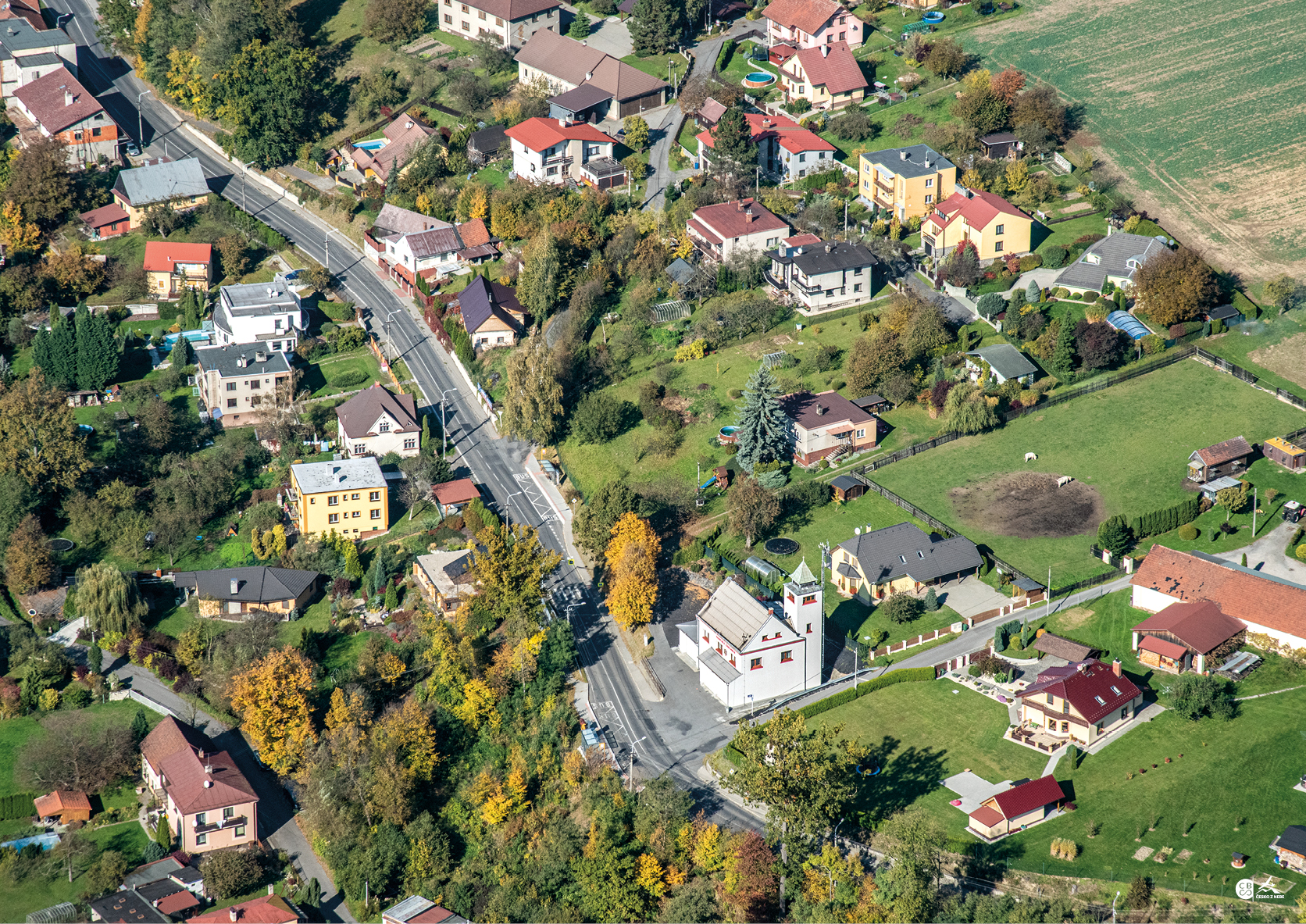 Stara_Bela_CBS_2019_17.jpg