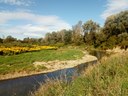 Poodří